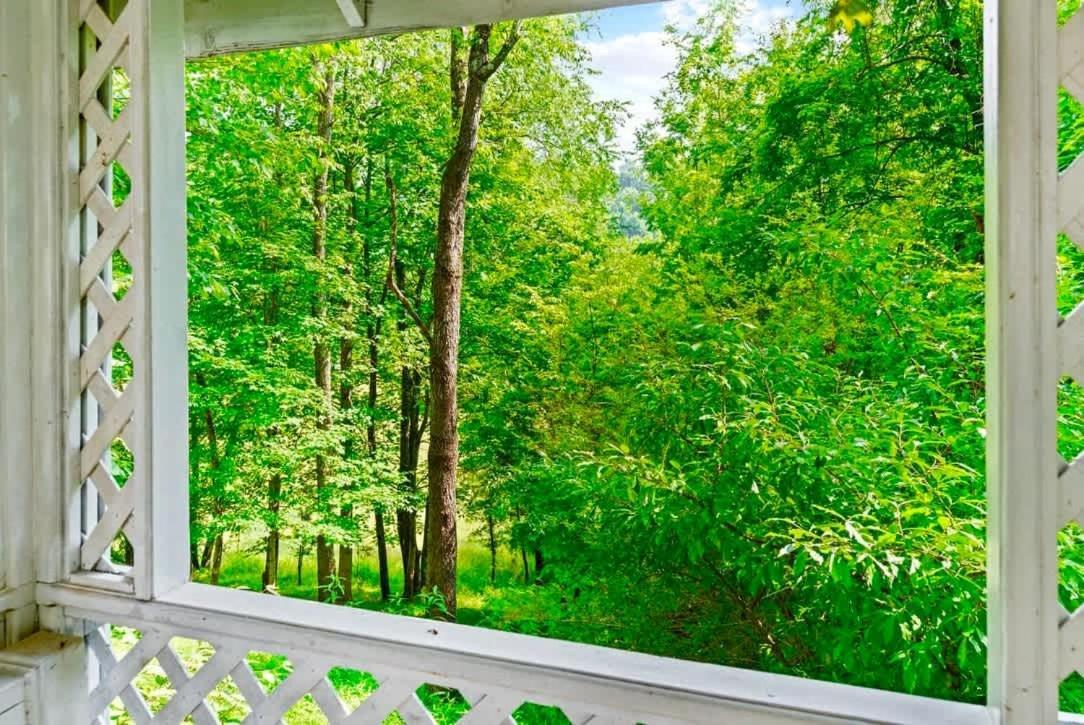 Gated Mansion - Basketball Court Movie Theater Views Vila Big Stone Gap Exterior foto